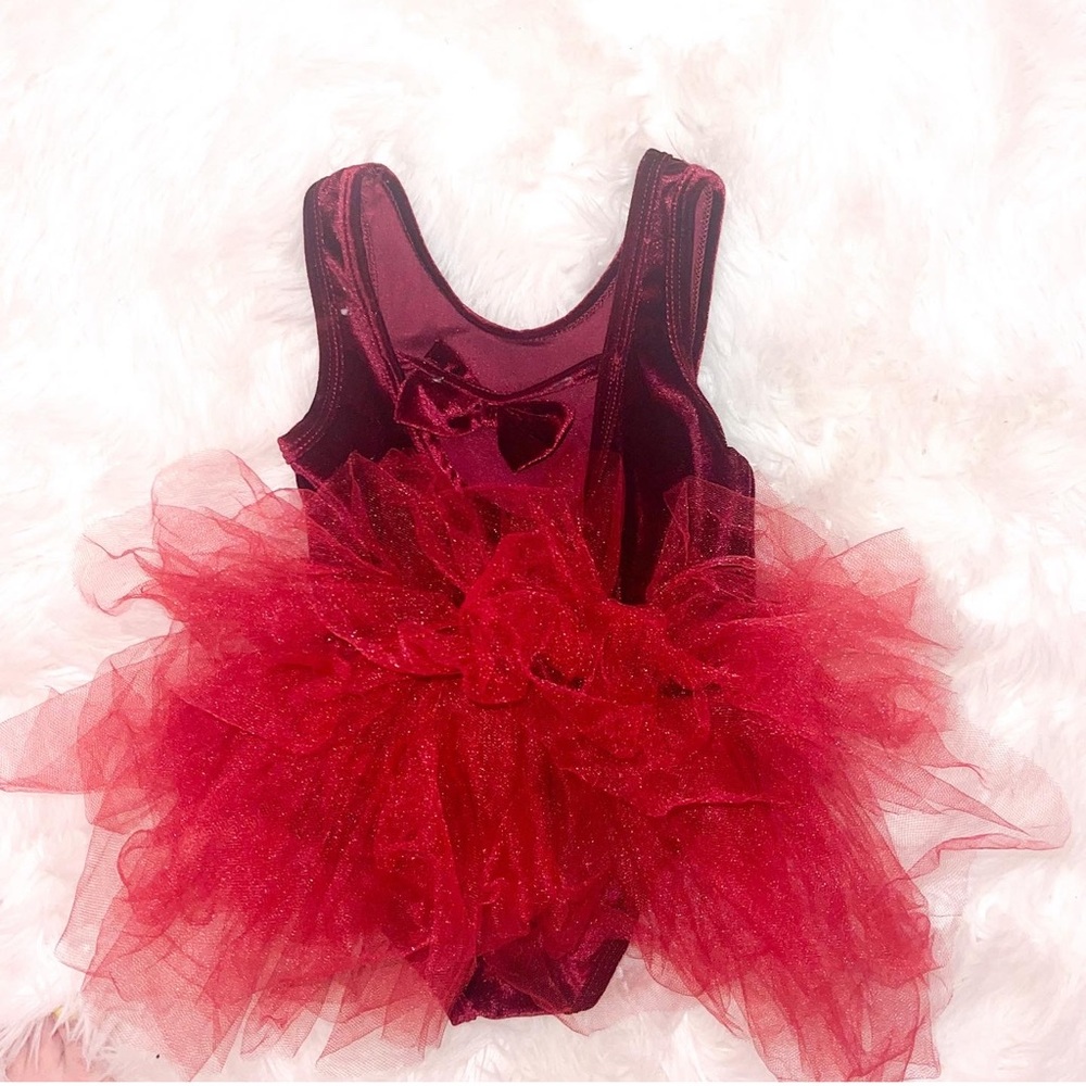 Burgundy velvet tulle dress